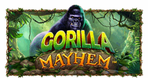 Gorilla Mayhem pragmaticplay ufabet366 vip